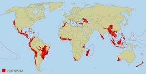 BOIDIVERSITY HOTSPOTS COLOR.JPG