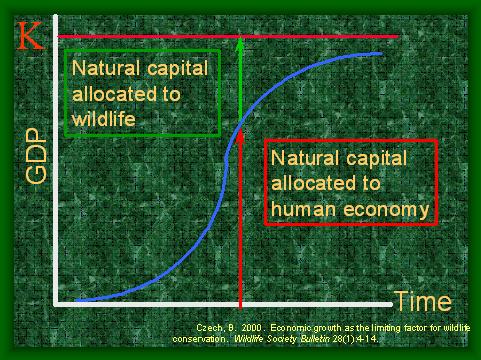 Natural capital allocation to nature and humans.JPG