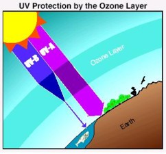 UV protection small.jpg