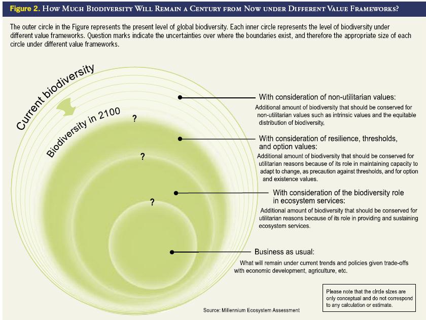 Biodiveristy a century form now   MA.JPG