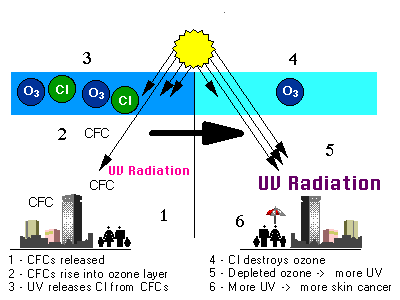 ozone depletion process.gif